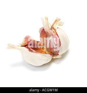 Eine Glühbirne von frischem Knoblauch gebrochen offen zeigen Nelken auf weißem Hintergrund Stockfoto