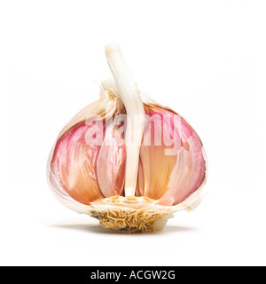 Eine Glühbirne von frischem Knoblauch gebrochen offen zeigen Nelken auf weißem Hintergrund Stockfoto