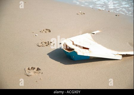 Ein gewaschener, Boot auf einem sandigen Strand mit dem Meer Flut in und Hund Pfote druckt im sand Stockfoto