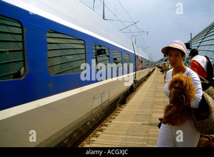 Avignon Provence Frankreich TGV-Zug in der Station und Menschen warten auf Plattform Stockfoto