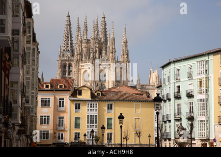 Kathedrale von Burgos, Kastilien-León, Spanien, Calle Huerte del Rey entnommen. Stockfoto