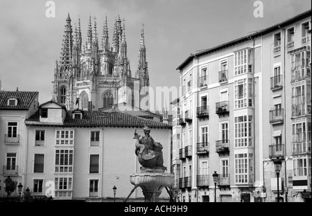 Kathedrale von Burgos, Kastilien-León, Spanien, Calle Huerte del Rey entnommen. Stockfoto