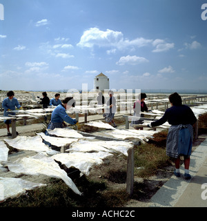 PORTUGAL RIBATEJO ALCOCHETE FRAUEN AUF DEN KOPF DREHEN KABELJAU FISCHEN BEI EINEM OPEN-AIR-TROCKNUNG FABRIK Stockfoto