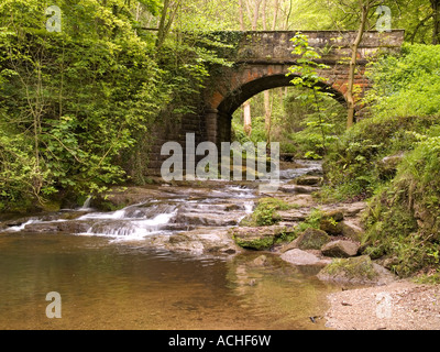 Ein wesentlich erbaut Bogenbrücke aus Stein trägt eine kleine Spur über Mai Beck in der Nähe von fallen Foss North Yorkshire Stockfoto