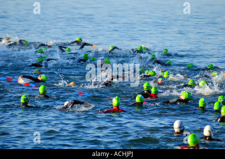 Der Start der Sektion schwimmen einen Triathlon, von hinten genommen Stockfoto