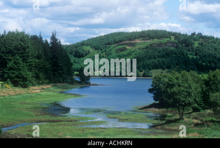 Loch Drunkie, Achray Forest Drive, Queen Elizabeth Forest Park, Aberfoyle, Stirling, Schottland Stockfoto