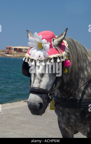 Nahaufnahme eines Pferdes einen rosa Hut im venezianischen Hafen Kreta Chania Stockfoto