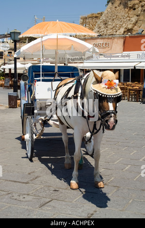 Pferd und Wagen reitet Chania Hafen Stockfoto