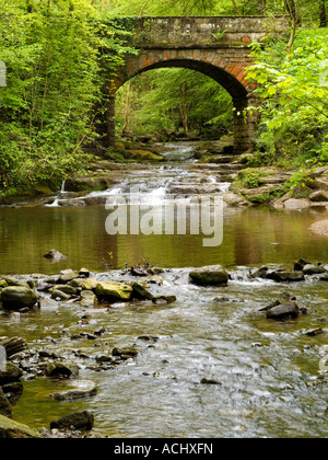 Ein wesentlich erbaut Bogenbrücke aus Stein trägt eine kleine Spur über Mai Beck in der Nähe von fallen Foss North Yorkshire Stockfoto