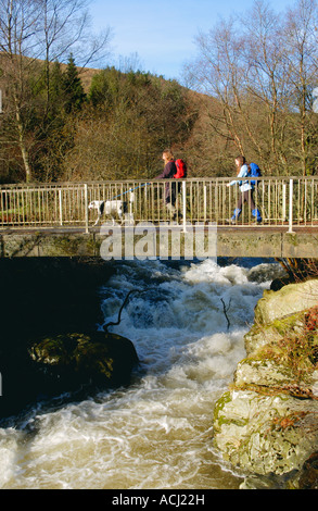 Wanderer-Brücke über den schnell fließenden Fluss Irfon in der Nähe von Llanwrtyd Wells Powys Wales UK Stockfoto