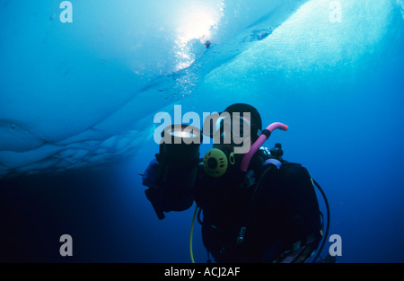 Taucher unter Packeis auf 81 Grad Nord Svalbard Spitzbergen Eistauchen Stockfoto