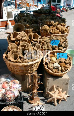 Schwämme zum Verkauf an den Kais der Stadt Pothia auf griechische Schwammtaucher Kalymnos-Insel in der Ägäis. Stockfoto