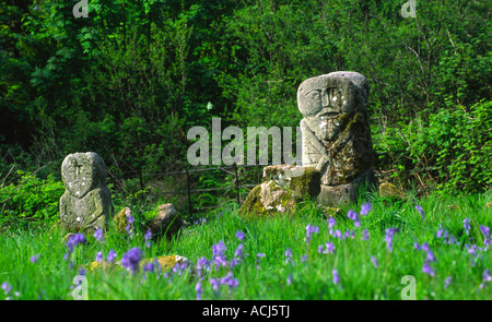 Janus Figur, Caldragh Friedhof, Boa Island, Lough Erne, Co Fermanagh, Nordirland. Stockfoto