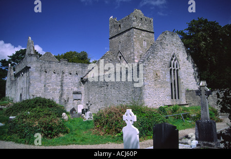 Muckross Abbey, Killarney Nationalpark, Co Kerry, Irland. Stockfoto