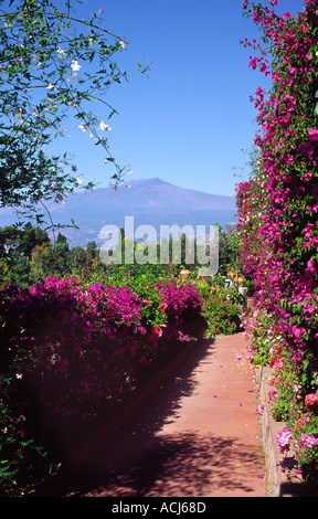 Ein Blick auf den Ätna durch Girlanden aus Bougainvillea Taormina Sizilien Italien Stockfoto
