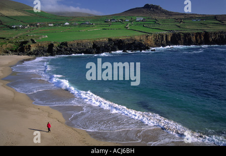 Person zu Fuß auf clogher Strand, unter Patchwork grüne Felder. Der Halbinsel Dingle in der Grafschaft Kerry, Irland. Stockfoto
