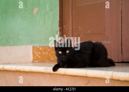 Schwarze Katze liegend auf einer Haustür in Trinidad, Kuba. Stockfoto