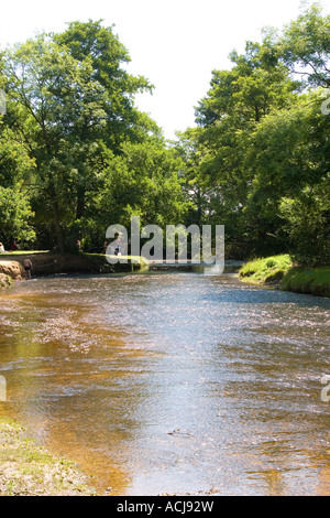 Die Highland Wasserstrom führt vorbei an Balmer Rasen Brockenhurst New Forest Stockfoto