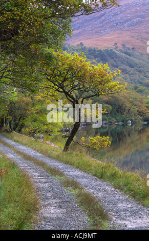 Anschluss neben Lough Veagh in Glenveagh National Park, County Donegal, Irland. Stockfoto