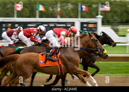 Pferderennen-Start Stockfoto