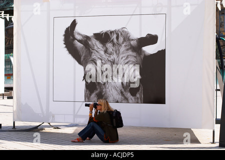 Eine Frau, die ein Foto vor einem Kuh-Bild von Thierry des Ouches an der Ausstellung Vaches (Kühe) auf Platz Vendôme Vendome Stockfoto