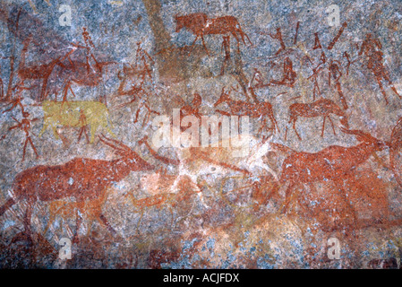 San Rock Art, Matobo Hills Stockfoto