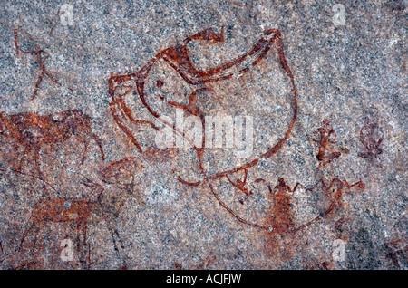 San Rock Art, Matobo Hills Stockfoto