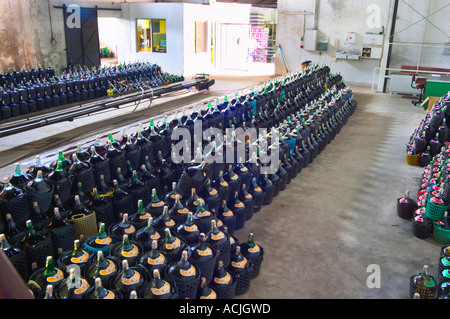 Der Stauraum für Tafelweine Bodega Castillo Viejo Weingut, Las Piedras, Canelones, Uruguay, Südamerika Stockfoto