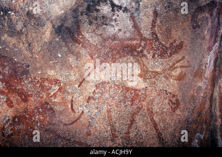 San Rock Art, Matobo Hills Stockfoto