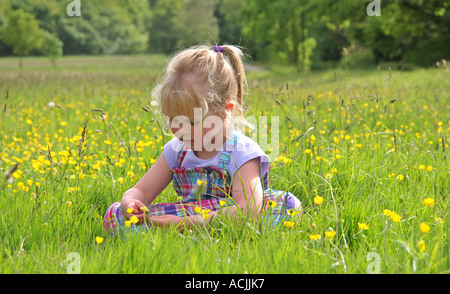 Junges Mädchen saß in Wiese von Butterblumen Stockfoto