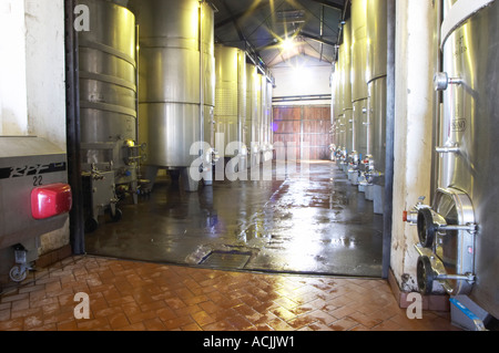 Moderne Edelstahl-Gärtanks im neuesten Teil des Weinguts. Nur mit Wasser gereinigt. Bodega Pisano Weingut, Progreso, Uruguay, Südamerika Stockfoto