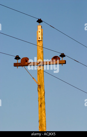 Eine alte hölzerne Telefonmast mit drei Drähten bei Sonnenuntergang vor einem blauen Himmel mit zwei alten Hornero Ovenbird Ton Schlamm Vogelnester Bodega Carlos Pizzorno Winery, Canelon Chico, Canelones, Uruguay, Südamerika Stockfoto