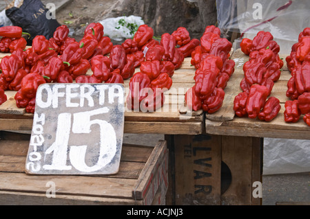 Eine Straße Marktstand verkaufen rote Paprikaschoten Bellpepper Lujo bezeichnet, Sonderpreis angezeigt Oferta schön in Bündeln von drei 3 Montevideo, Uruguay, Südamerika Stockfoto