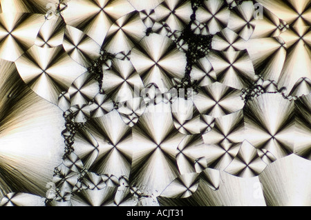 Mikroskopische Aufnahme von polarisierten doppelbrechenden Kristallen./© Craig M. Eisenberg Stockfoto