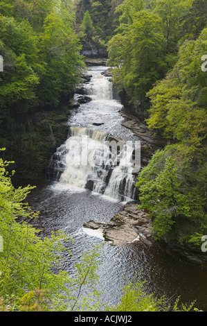 Corra Linn von den Falls of Clyde über New Lanark, South Lanarkshire, Scotland Stockfoto