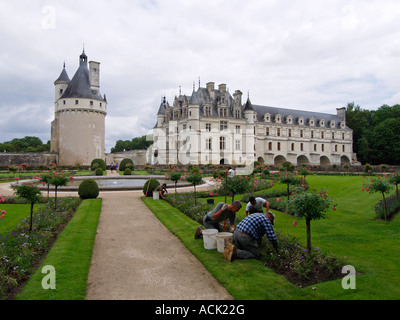 Gärtner bei der Arbeit im Garten von Catherine de Medici im Chateau de Chenonceau Loiretal France Stockfoto