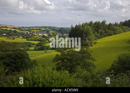 Restormel Castle Cornwall England Schale halten Sie Aussicht auf die umliegenden Landschaft Rinder am Sonnenhang Stockfoto