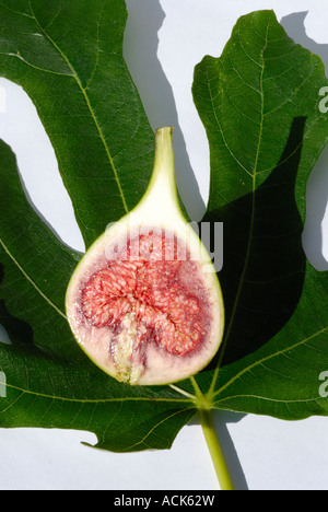 Latein, Ficus Carica. Gemeinsame, halbieren Sie gemeinsame Feigenbaum, braun Türkei Abb. A Frucht-Fig - vor dem Hintergrund eines Blattes Stockfoto