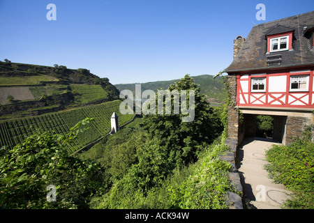 Blick auf die Weinberge an den Ufern des Rheins von Bacharach oben gesehen. Rheintal, Deutschland. Stockfoto