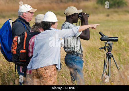 Leitfaden sucht nach verschiedenen Arten zeigen Vogelbeobachter Grünland Wattenmeer nahe Tendaba Camp am Gambia-Flusses Gambia besuchen Stockfoto