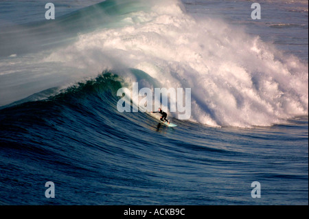 Eine qualifizierte und furchtlose Surfer reitet eine riesige Welle im Freshwater Beach in der Nähe von Manly auf Nordstrände von Sydney in Australien Stockfoto