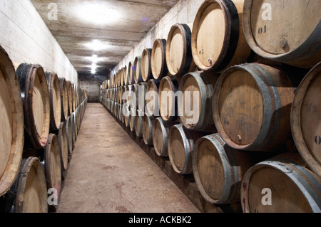 Alterung in Eichenfässern Weinfässer im Barrique Altern Keller Domaine de Triennes Nans-Les-Pins Var Cote d ' Azur Frankreich Stockfoto