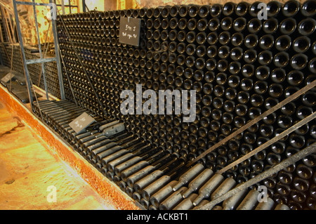 Stapel von alten Flaschen Altern in den Keller Schloss Vannieres (Vannières) La Cadiere (Cadière) d ' Azur Bandol Var Cote d ' Azur Frankreich Stockfoto