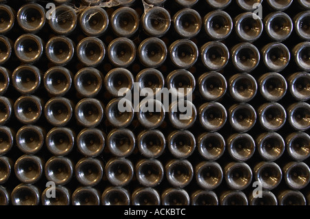 Haufenweise alte Flaschen im Keller, Detail Flasche Böden Schloss Vannieres (Vannières) La Cadiere (Cadière) d ' Azur Bandol Var Cote d ' Azur Frankreich Altern Stockfoto