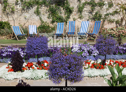 blaue Liegestühle und blaue Blumen in den Gärten in Sidmouth Devon Stockfoto