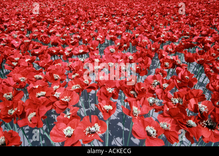 Werbe Anzeige von roten Mohnblumen in Covent Garden in London. Stockfoto
