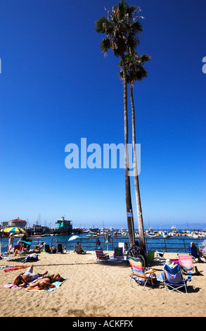 Sonnenanbeter am Strand im Hafen von Avalon, Santa Catalina Island, Kalifornien, USA (Juli 2007) Stockfoto