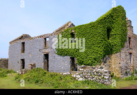 Verfallenes Bauernhaus auf Skomer Island Pembrokeshire West Wales UK Stockfoto