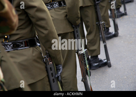 Militärparade, Plaza Bolognesi, Lima, Peru Stockfoto