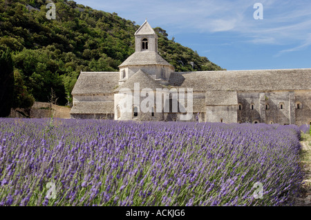 Abtei Senanque Stockfoto